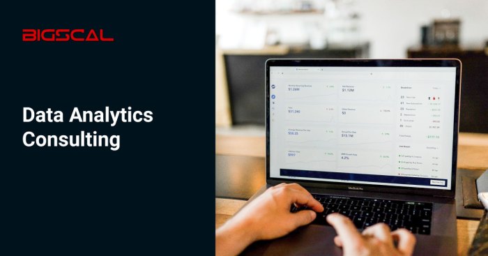 Exploring the World of Digilife Data Analytics Consulting